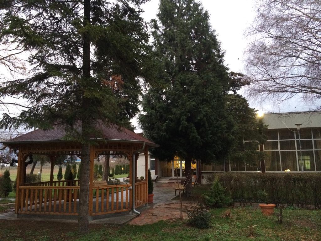 Bed and Breakfast Prenociste Gazela Pirot Esterno foto